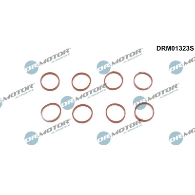 Imagen de DR.MOTOR AUTOMOTIVE DRM01323S Juego de juntas, colector admisión LAND ROVER: Range Rover Evoque
