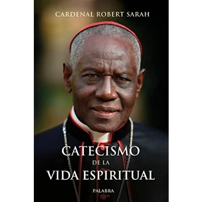 Imagen de Catecismo de la vida espiritual (Mundo y cristianismo)
