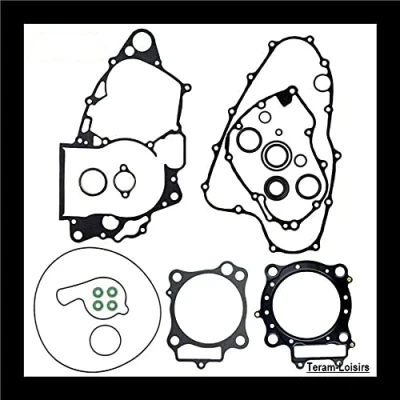 Imagen de TERAM LOISIRS Juego De Juntas Motor Completo Compatible Honda Crf 450 R 2007 2008 Nuevo Francia