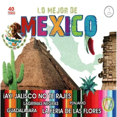 Imagen de Lo Mejor De México Varios