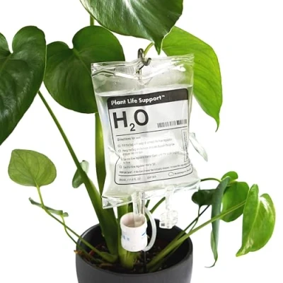 Imagen de Bubblegum Stuff Dispositivo de riego por goteo soporte para plantas Herramientas jardín, accesorios el hogar, dispositivos sistema automático 350 ml