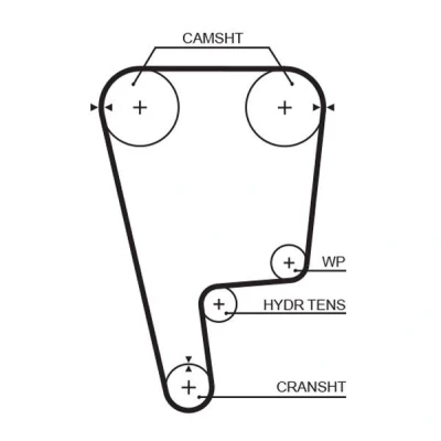Imagen de GATES FleetRunner Micro V Stretch Fit T226 Correa de Distribucion 155 1240 24 Fibra vidrio, HNBR (Acrilo Nitrilo Butadieno Hidrogenado)