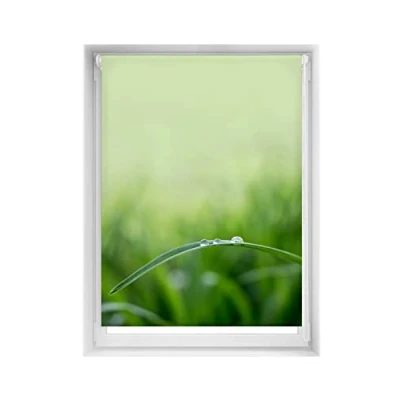 Imagen de Blindecor Easy estores opacos sin taladrar Estampados Estor Blackout Estampado Digital, Quietud, 110 x 150 cm (Ancho por Alto). Tamaño de la Tela 107 145 cm. Persianas enrollables térmicas, Zen