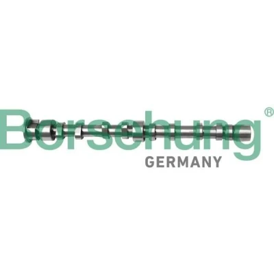 Imagen de Borsehung B12298 Árbol de Levas Lado escape VOLKSWAGEN: Jetta 3, Golf 5, SKODA: Roomster
