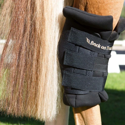Imagen de Back on Track Royal Heel Protector