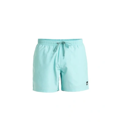Imagen de Quiksilver Everyday Solid 15 Bañador, Hombre, Talla: Medium, Bsw