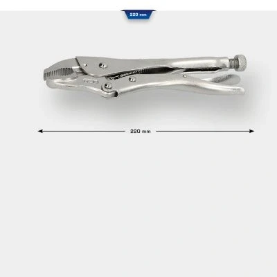 Imagen de KS TOOLS BT065903 Pinza sujetadora 250