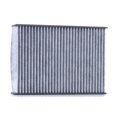 Imagen de VALEO CLIMFILTER PROTECT 715538 Filtro de habitáculo carbón activado 230 160 30 RENAULT: CLIO 2, Kangoo I, I Express
