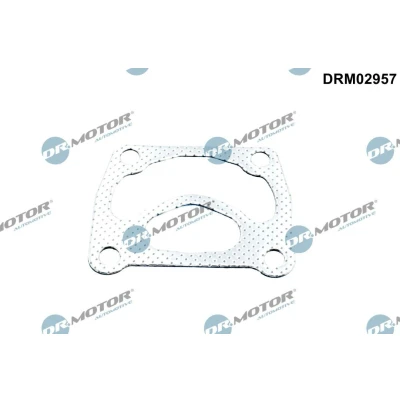 Imagen de DR.MOTOR AUTOMOTIVE DRM02957 Juntas