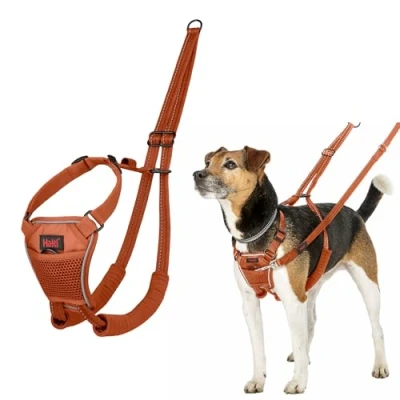 Imagen de Arnés anti tirones HALTI para evitar que tu perro tire de la correa, Ajustable, Ligero y Fácil Usar. Reflexiva Adiestramiento canino perros pequeños (Talla S, Naranja Quemada)