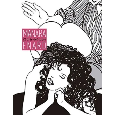 Imagen de El Arte del Azote (SIN COLECCION)