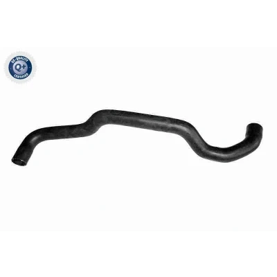 Imagen de VAICO V10 7563 Manguitos de Radiador Radiador, a la izquierda abajo EPDM (Ethylen Propylen Dien Caucho) VOLKSWAGEN: Transporter 5, Multivan 5 (7HM