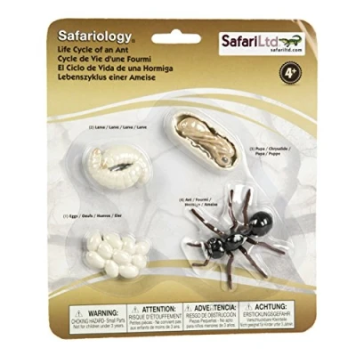 Imagen de Safari Ltd. Safariology Life Cycle Series El ciclo de vida una hormiga Figura juguete para niños y niñas A partir 3 años
