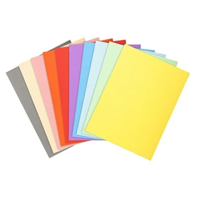 Imagen de Exacompta 420200E Lote de 50 Subcarpetas Forever® 180, Colores Surtidos