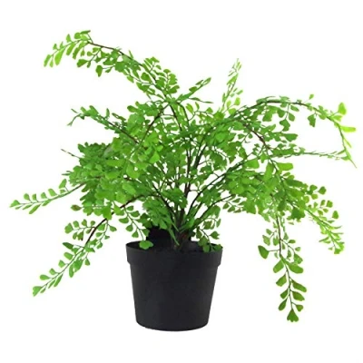 Imagen de Leaf Mini Planta Artificial Maceta de 35 cm Doncella del Sur, Helecho Maidenhair