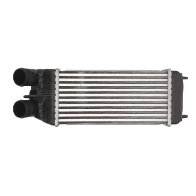 Imagen de THERMOTEC DAP003TT Intercooler 300 157 80 CITROËN: C3 II, C4 II Cactus, Picasso, PEUGEOT: 208 I Hatchback, Partner Tepee, 2008 Familiar