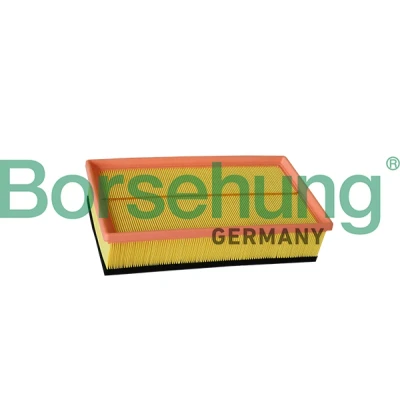 Imagen de Borsehung B12218 Filtro de aire Cartucho filtrante VOLKSWAGEN: Multivan 5 (7HM, Transporter Bus,