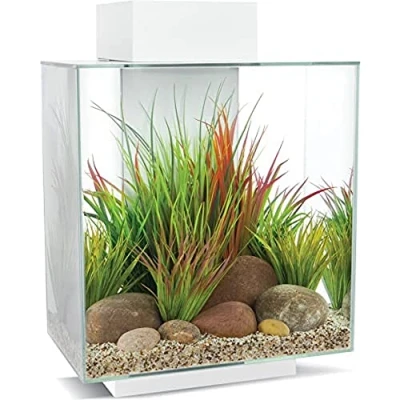 Imagen de Fluval Ventosas de Succión para Filtro U1 3