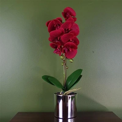 Imagen de Leaf Orquídea Artificial roja con Maceta Plateada de 46 cm