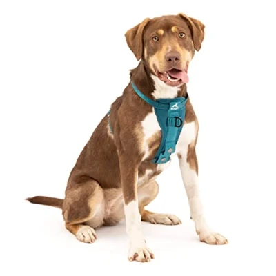 Imagen de Kurgo Tru Fit Arnés para Perro, de Paseo Perros, Anillo en D Entrenamiento sin Tirones, Incluye Mosquetón Seguridad Azul, M