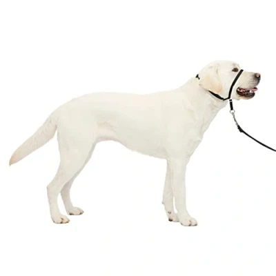 Imagen de PetSafe Easy Walk Bozal Para Perros, Collar De Cabeza Antitirones Ajustable, Acolchado, Con Correa Paseo Incluida, Negro, L