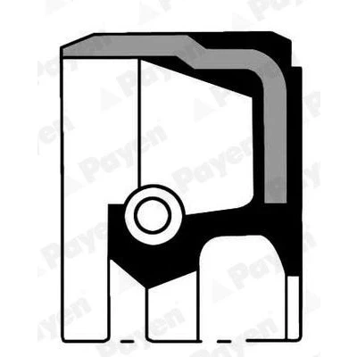 Imagen de PAYEN NA5139 Reten del Cigueñal FPM (caucho fluroado) CHRYSLER: Voyager 4, / Grand 3, MINI: Hatchback, Cabrio