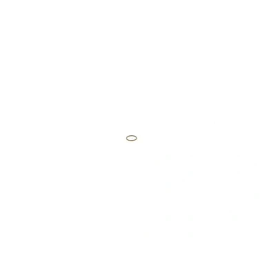 Imagen de BOSCH 1 410 227 001 Anillo obturador