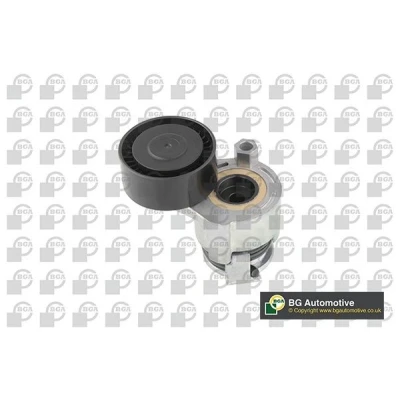 Imagen de Brazo tensor, correa auxiliar BGA DC6300