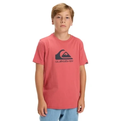 Imagen de Quiksilver LOGO Youth Unisex Camiseta estampada para niños, Talla: 10a, Mineral red