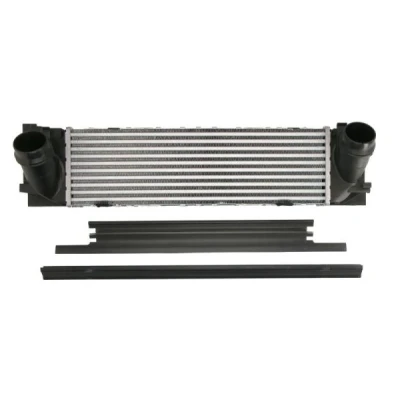 Imagen de Radiador de aire admisión THERMOTEC DAB027TT