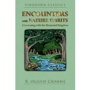 Imagen de Encounters With Nature Spirits (ebook)