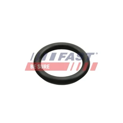 Imagen de FAST FT49426 Junta Colector de Admision Entrada PEUGEOT: 206 Hatchback, 307 207 CITROËN: C2 Xsara Hatchback