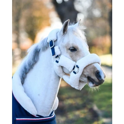 Imagen de HB Halter esponjoso de showtime harry y hector tallas pequeñas Shetland Armada