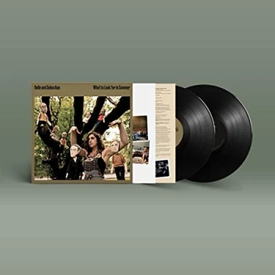 Imagen de What To Look For In Summer [Vinilo]