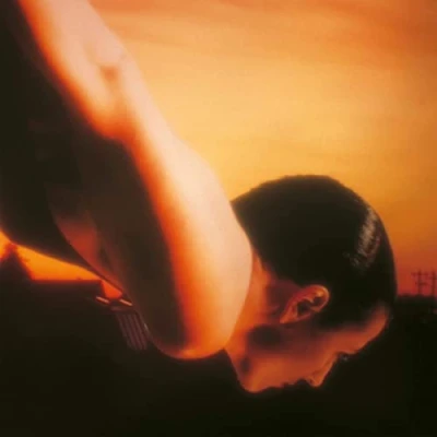 Imagen de On The Sunday Of Life [Vinilo]