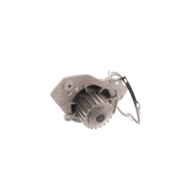 Imagen de SKF VKPC 83424 Bomba de agua 20 con juntas Plástico para accionamiento correa trapecial PEUGEOT: 405 I Familiar, 306 Hatchback, J5 Furgón
