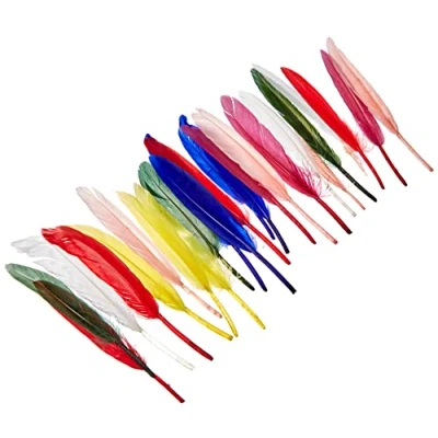 Imagen de Rayher 8525349 Plumas de India (10,5 cm, 24 Unidades), Colores Mezclados