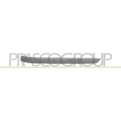 Imagen de Listón embellecedor/protector, parachoques PRASCO BM0181253