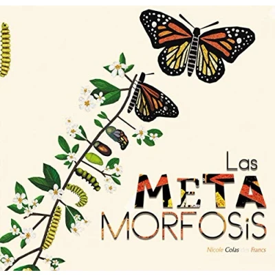 Imagen de Las Metamorfosis
