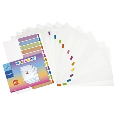 Imagen de Viquel Maxi Separadores de polipropileno (juego 12 unidades, tamaño A4)