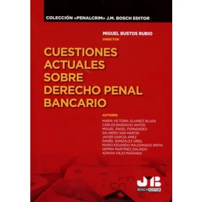 Imagen de Cuestiones Actuales Sobre Derecho Penal Bancario