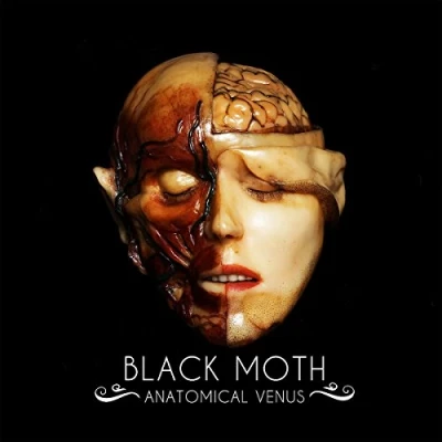 Imagen de Anatomical Venus Vinilo