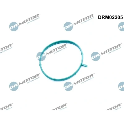 Imagen de DR.MOTOR AUTOMOTIVE DRM02205 Juntas