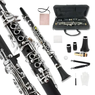 Imagen de Yinfente Clarinete profesional de madera ebonita, 2 barriles con estuche tela, accesorios caña (Ekeyclarinete)