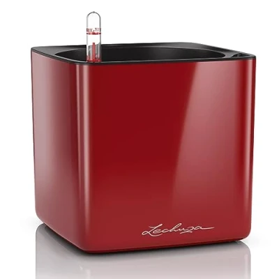 Imagen de LECHUZA Cube, 16 maceta de riego automático, pequeña, para interiores sin agujeros drenaje, poliresina, H16 L17 W17 cm, rojo escarlata brillante