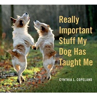 Imagen de Really Important Stuff My Dog Has Taught Me