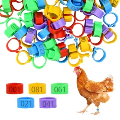 Imagen de Wisebom 100 Piezas Anillas para Gallinas 16 mm Anillos de Identificación Pollo, Pierna Número1 100, Palomas, Aves Corral Pollos Patos Ganso, 5 Colores