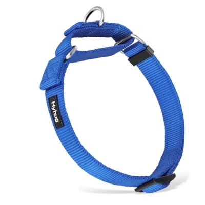 Imagen de Collar de Perro Grande para niños y niñas Stingdy Martingale Resistente a la Fuga Uso Diario Caminar (Grande L, Azul Brillante)