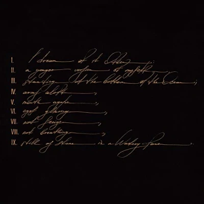 Imagen de Dreams Are Not Enough [Vinilo]
