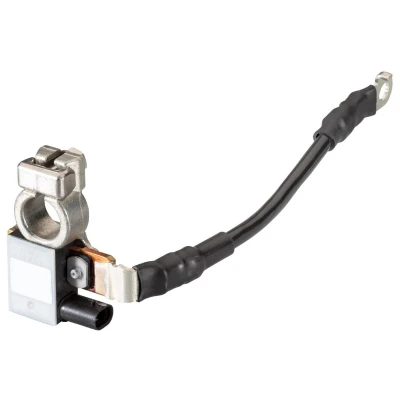 Imagen de HELLA 6PK 010 181 701 Sensor, control de batería